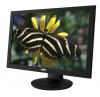 Monitor lcd rpc -