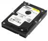 Hard disk western digital jb 320 gb  udma 100 7200rpm