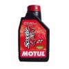 Motul scooter expert 2t