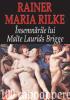 Cartea  Insemnarile lui Malte Laurids Brigge