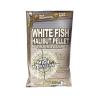 Boilies h. atract. fish&halibut 20mm/1kg