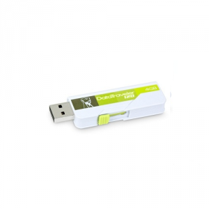 USB Flash Drive 4GB Kingston DataTraveler120