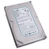 Hard Disk Seagate 250 GB  UDMA 100 7200rpm