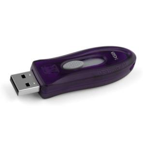 USB Flash Drive 1 GB USB 2.0, Mov Kingston Hi-Speed DataTraveler