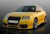 Spoiler fata audi a3 8l model fx-60