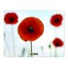 Mouse pad fellowes poppies