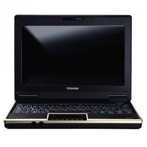 Notebook Toshiba NB100-10Y Atom N270 1.6GHz, 1GB, 120GB, XP Home