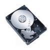 Hard disk Seagat ST32000542AS