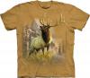 Tricou buck at the mountain