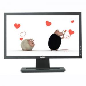 Monitor lcd 19" e1910