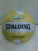 Minge volei plaja spalding