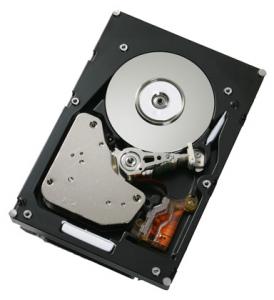 HDD IBM 250GB, SATA 150 MB/s, Simple-Swap