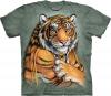 Tricou Indian Tiger