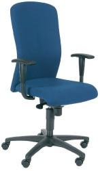 Scaun ergonomic cu spatar inalt si suport brate, EUROSEATS Paris