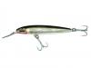 Rapala count down magnum