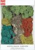 Set licheni naturali cu roci decorative din