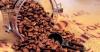 Cafea bio premium ''selectie 100%