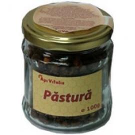 PASTURA 100gr API VITALIS