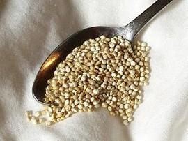 QUINOA BIO 500g