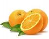 Concentrat bio universal de curatenie portocale 0.5l