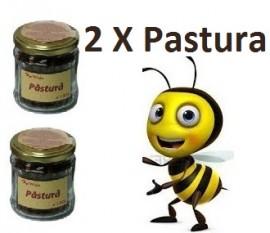 PACHET 2 X ( PASTURA 100g )