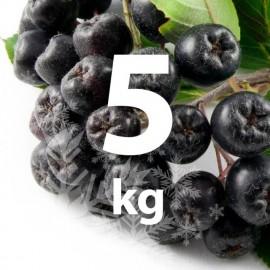 Fructe Congelate Aronia 5 kg (bio)