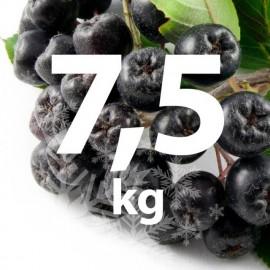 Fructe Congelate Aronia 7,5 kg (bio)