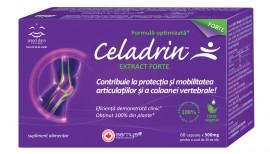 Celadrin&trade; Extract Forte 60 cps