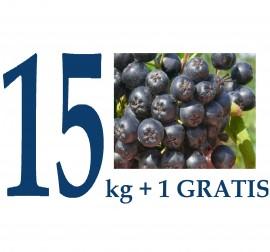 Fructe Proaspete Aronia 15kg (bio) + 1kg GRATIS