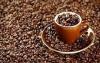 Cafea bio '' sorturi arabica de exceptie''