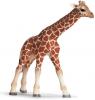 Figurina Schleich Pui de girafa 14321 Maro