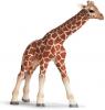 Figurina schleich pui de girafa 14321 maro