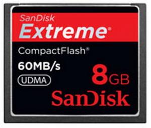 Sandisk SDCFX-008G-E61 flash memory