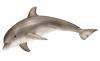 Figurina schleich delfin 14699 gri