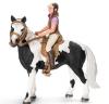 Figurina schleich set calarie 42057