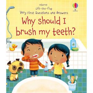 Lift-the-flap very first questions and answers - Why Should I Brush My Teeth" - Carte Usborne 3+