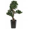 Europalms bonsai podocarpus, artificial