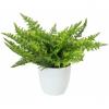 EUROPALMS Fern bush in pot, artificial plant , 22 leaves, 33cm