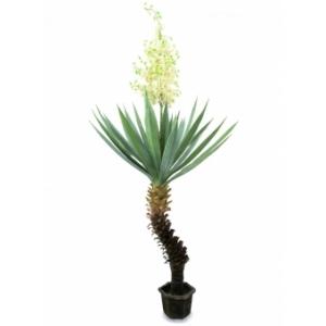 EUROPALMS Yucca palm with blossoms, artificial plant, 222cm