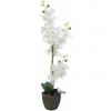 Europalms orchid, artificial plant, white, 80cm