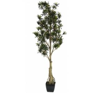 EUROPALMS Podocarpus tree, artificial plant, 150cm