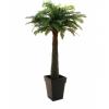 EUROPALMS Fern palm, artificial, 180cm