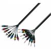 Adam Hall Cables K3 L8 PC 0300 - Multicore Cable 8 x 6.3 mm Jack mono to 8 x RCA male 3 m