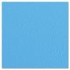 Adam Hall Hardware 04952 G - Birch Plywood Plastic-Coated with Stabilising Foil sky blue 9.4 mm
