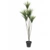 EUROPALMS Yucca palm, artificial plant, 130cm