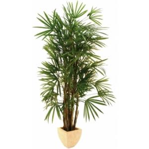 EUROPALMS Lady palm, artificial, 150cm