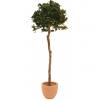 EUROPALMS Laurel ball tree, artificial plant, 180cm