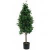 EUROPALMS Laurel Cone Tree, artificial plant, 120cm