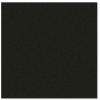 Adam Hall Hardware 0497 G - Birch Plywood Plastic-Coated with Stabilising Foil black 9.4 mm