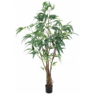 EUROPALMS Ficus Longifolia, thick trunk, artificial plant, 180cm
